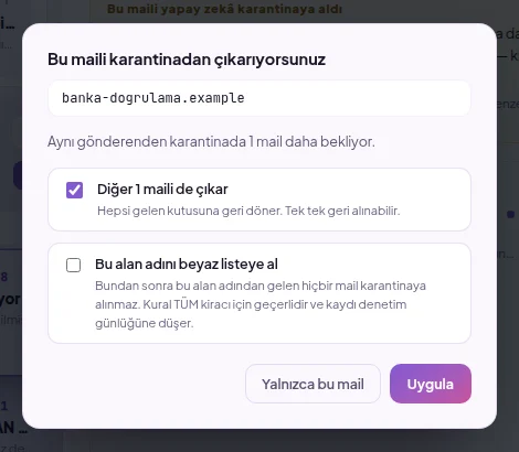 Karantinadan çıkarma penceresi: yalnızca bu mail, diğer mailleri de çıkar ve alan adını beyaz listeye al seçenekleri