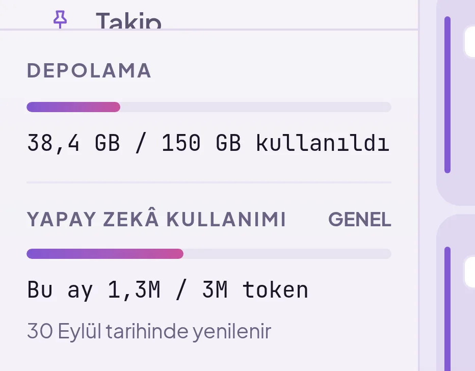 Counters in the left column: storage usage and monthly AI budget, with renewal date