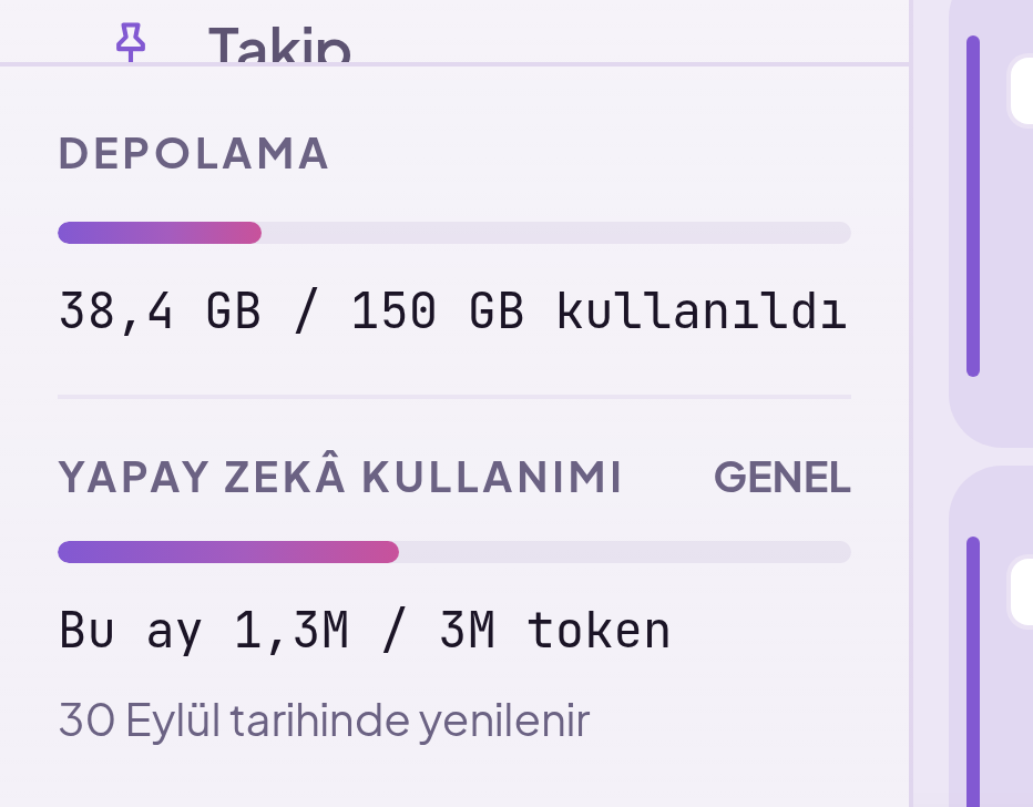 Sol sütundaki sayaçlar: depolama kullanımı ve aylık yapay zekâ bütçesi, yenilenme tarihiyle